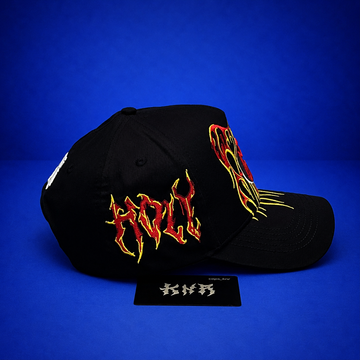 AVE FENIX